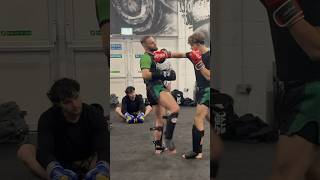 Disrupting a punchers rhythm muaythai martialarts mma kickboxing thaiboxing tutorial fyp [upl. by O'Carroll]