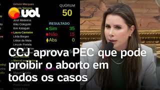 Aborto legal CCJ da Câmara aprova projeto que proíbe aborto mesmo em casos previstos em lei [upl. by Siroval]