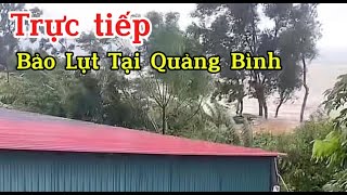 🔴trực tiếp  Bão Lụt Tại Quảng Bình [upl. by Willetta]