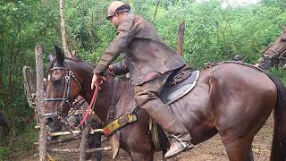 Pega de boi no mato fazenda Simão [upl. by Ced579]