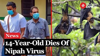 Nipah Virus 14YearOld Boy From Kerala Dies Of Nipah Virus Health Officials On High Alert [upl. by Kowal]