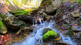 Ausruhen Beruhigen und Entspannen durch plätschernde Wassergeräussche in unberührter Natur [upl. by Salvucci182]