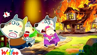 Run Wolfoo House is Burning  Wolfoo Learns Safety Tips  Fire Safety Cartoon  Wolfoo Family [upl. by Sualocin155]