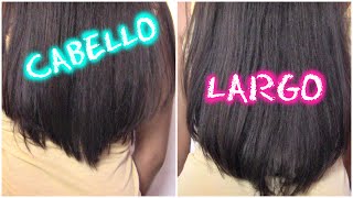 COMO HACER CRECER EL CABELLO RAPIDO CON MASCARILLAS CASERAS  Eli Garcia [upl. by Ayekel100]