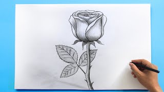 ROSE Drawing Easy 🌹 How to Draw a Rose step by step [upl. by Dolloff]