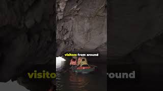 Discover the Underground River Palawan Philippines shorts palawan [upl. by Hamitaf]