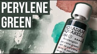 Perylene Green  Schmincke Horadam Watercolors  The Paint Show 34 [upl. by Thar]