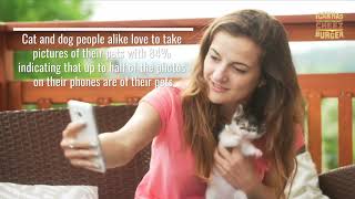 Study Highlights The Not So Differences Between Cat People And Dog People [upl. by Yesrej]