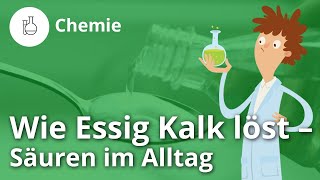 Wie Essig Kalk löst Säuren im Alltag – Chemie  Duden Learnattack [upl. by Atelokin]