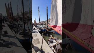 Cesenatico festa del pesce [upl. by Rrats]