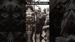 The Algerian Revolution Independence from French Colonialism [upl. by Marston]