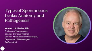 Dr Wouter Schievink—Types of Spontaneous Leaks Anatomy and Pathogenesis [upl. by Corissa]