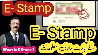 How to apply online for estamp paper Rs 100300 1200  in Pakistan EStamping Punjab law [upl. by Orips]