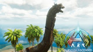 Taming the Herbivore King Brachiosaurus Ark Ascended Ep 45 [upl. by Pamelina]