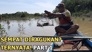 MENANGKAP KEPITING BAKAU DI HUTAN MANGROVE Eps12 [upl. by Whitcomb]