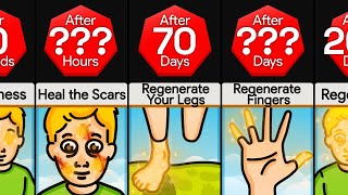 Timeline What If Humans Could Regenerate Lost Body Parts [upl. by Snej]