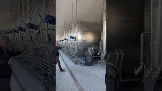 Secondary fermenters for Moscato wine domainehelena canelli [upl. by Virginia]