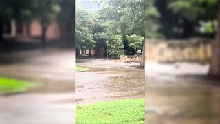 Flooding causes closure at San Antonio Zoo all animals are safe [upl. by Innavoeg]