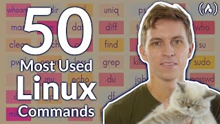 The 50 Most Popular Linux amp Terminal Commands  Full Course for Beginners [upl. by Essyle630]