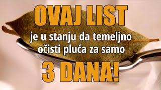 Lovorov list za kašalj mršavljenje  recepti za čaj i sirup [upl. by Rebecka]