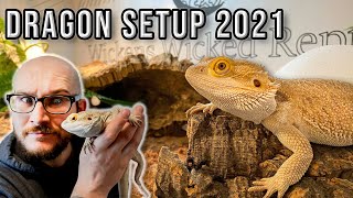 Bearded Dragon Setup  How To Set Up A Bearded Dragon Enclosure On A Budget 2021 [upl. by Nnahtur]