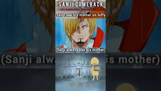 Vinsmoke Sanji part 2Love of motherluffy like his motherCaptain Straw hat pirateanimefunshorts [upl. by Ayrb]