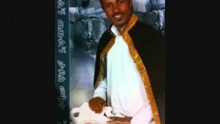 Tadesse Mekete Band presents  New Ethiopian wedding song by Tadesse Mekete  Hagare [upl. by Ralina]