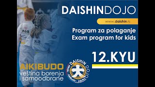 Aikibudo  DAISHIN DOJO  Exam program for KIDS  12KYU [upl. by Ytirahs499]