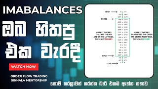 FOREX SINHALENIMBALANCES [upl. by Arbrab]