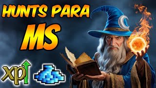 6 HUNTS PARA MS LEVEL 150 NO TIBIA  EXP E PROFIT [upl. by Eixid718]