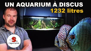 Aquarium à discus de 1232 litres [upl. by Agace510]