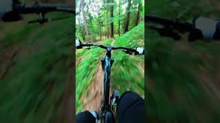 CHE TRAIL NEL BOSCO mtb mountains insta360 canyon mtllove enduromtb woods [upl. by Jann]