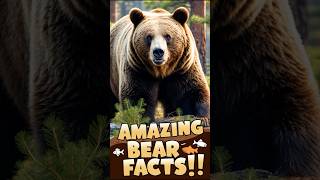 Incredible Bear Facts How They Live Eat and Play shorts [upl. by Arahat997]