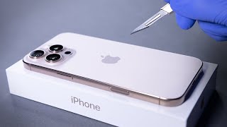 iPhone 16 Pro Max Unboxing and Camera Test  ASMR [upl. by Aicatsal927]