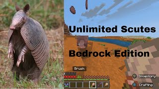 Minecraft Armadilllo How to get Scutes and Use Brush [upl. by Arianie]