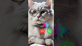 Cute Big cat call me 🔥 🔥 stylist cat shorts catcalling ringtone [upl. by Ut]