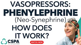 Phenylephrine NeoSynephrine What Is It And How Does It Work Free Study Guide Included [upl. by Plath104]