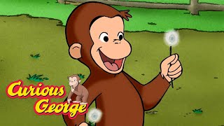 George Plants New Wildflowers 🐵 Curious George 🐵 Kids Cartoon 🐵 Kids Movies [upl. by Zaremski223]