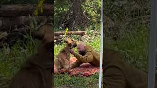 Dog survives more than two weeks in Colorado wilderness alone [upl. by Colburn]