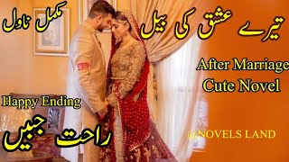 After Marriage Cute Story quotTere Ishq Ki Bailquot by Rahat Jabeen NOVELSLAND novel [upl. by Thirza355]