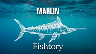 Catching Marlin Everything You Need To Know  Fishtory [upl. by Adniram]