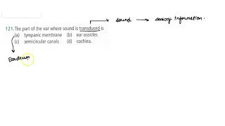 The part of the ear where sound is transduced is [upl. by Avie896]