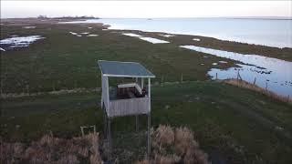 Insel Koos Kooser See und Wampener Riff  Dji Mavic Mini footage [upl. by Rellek]