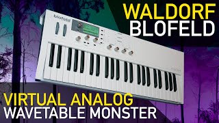 WALDORF BLOFELD Is Now the Time to Buy this OG Virtual Analog Synthesizer [upl. by Yarg]