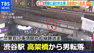 渋谷駅の高架橋から転落、警察官に事情聞かれ線路逃走 [upl. by Jordana]