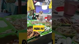 PABILI PO bingoandtatay pets bingodog animallover [upl. by Zelig]