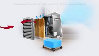 How do Evaporative Air Coolers Work [upl. by Oinotnanauj]