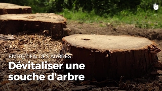 Dévitaliser une souche darbre  Entretenir vos arbres [upl. by Free]