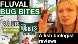 Fluval Bug Bites Plecoalgae A fish biologists reviews aquarium fish food Fluval [upl. by Evanthe]