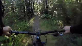 The Wharfedale Track Part 1  MTB Trail Magic [upl. by Dougy]